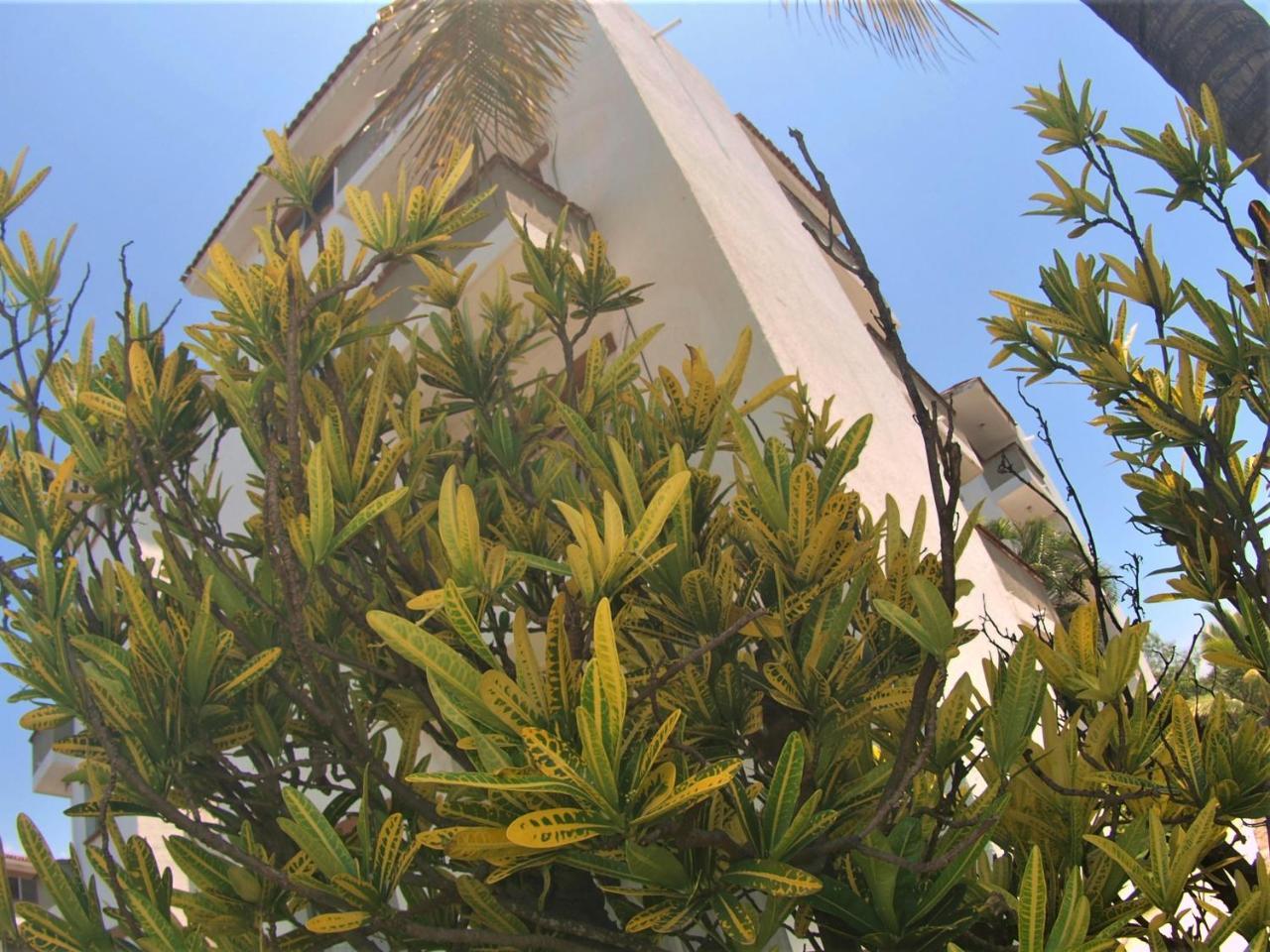 Suites Las Palmas Hotel Y Villas 曼萨尼约 外观 照片