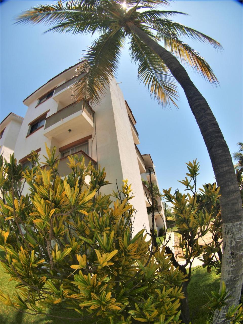 Suites Las Palmas Hotel Y Villas 曼萨尼约 外观 照片