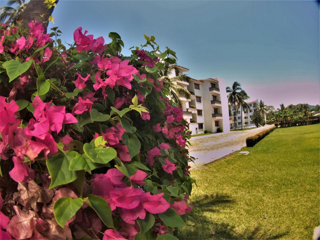 Suites Las Palmas Hotel Y Villas 曼萨尼约 外观 照片